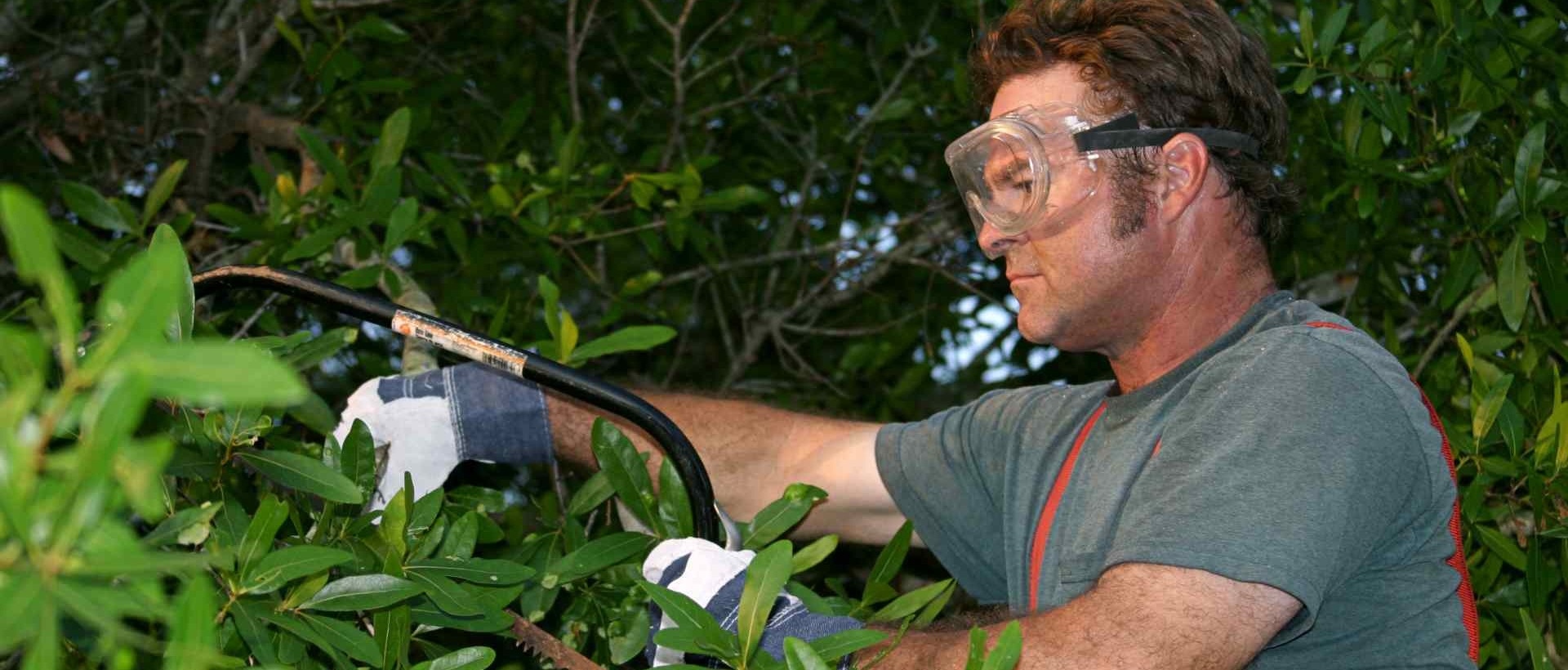 garden clearance IG1