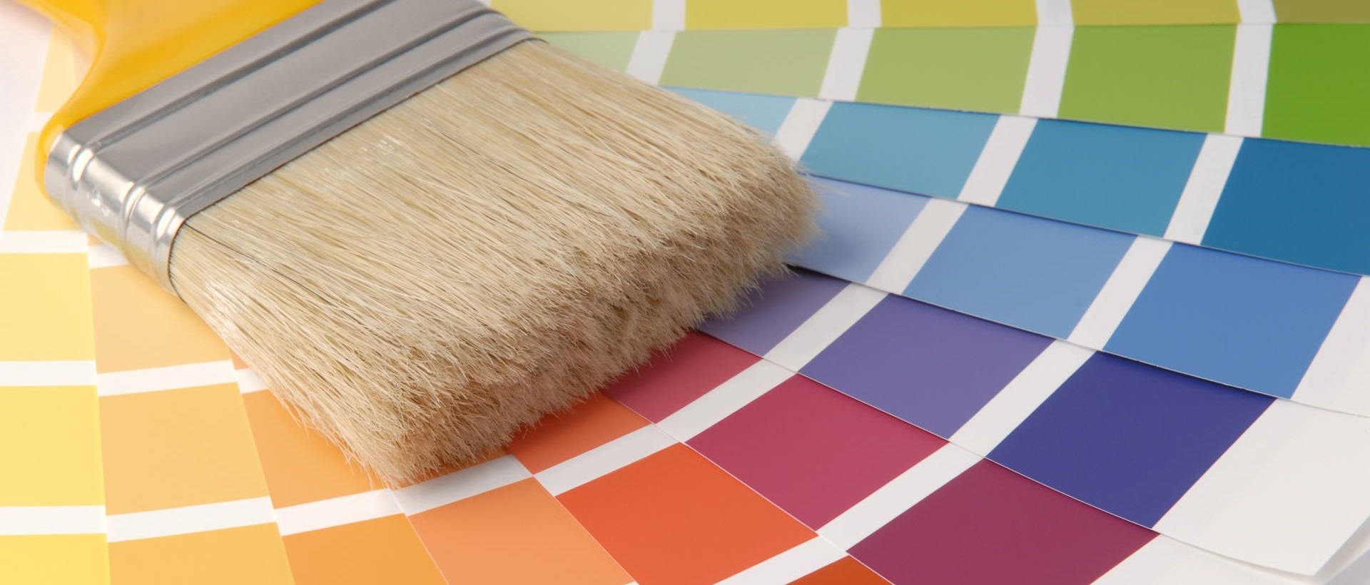 Painter IG1